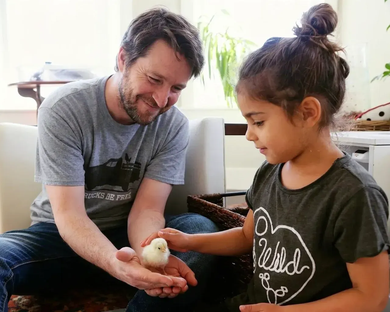 A dad holding a chick in his hands while his daughter gently pets it