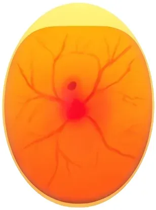 Egg candled on day 6