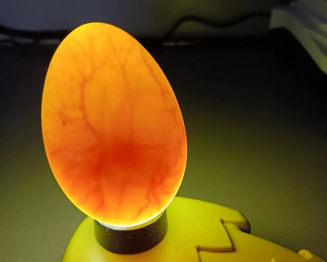 A glowing egg on the candler, showing red blood vessels of a developing chick inside