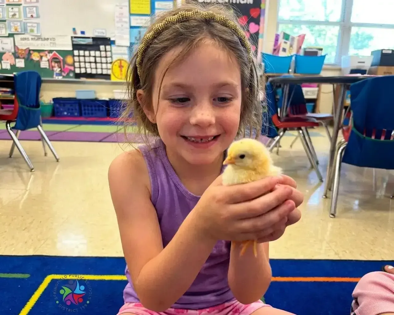 A smiling girl in a purple top holding a yellow chick in her classroom