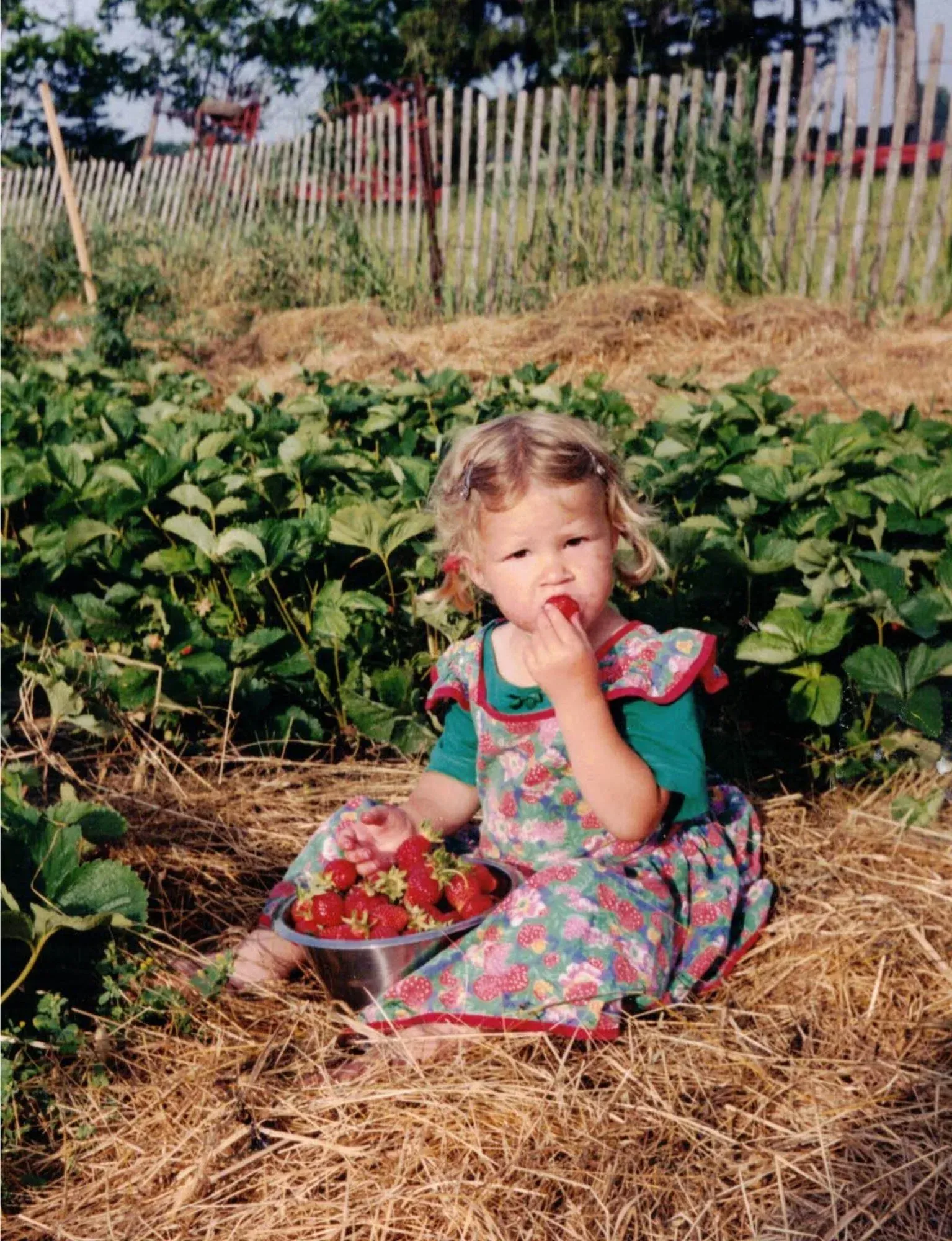 Young Ingrid eating strawberries in her family’s garden